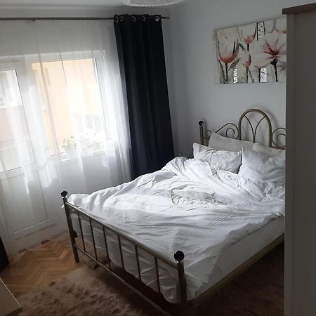 Mari&Vio Apartment Κλουζ-Ναπόκα Εξωτερικό φωτογραφία
