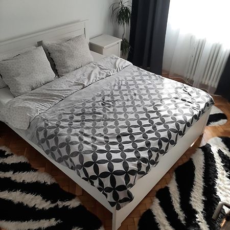 Mari&Vio Apartment Κλουζ-Ναπόκα Εξωτερικό φωτογραφία