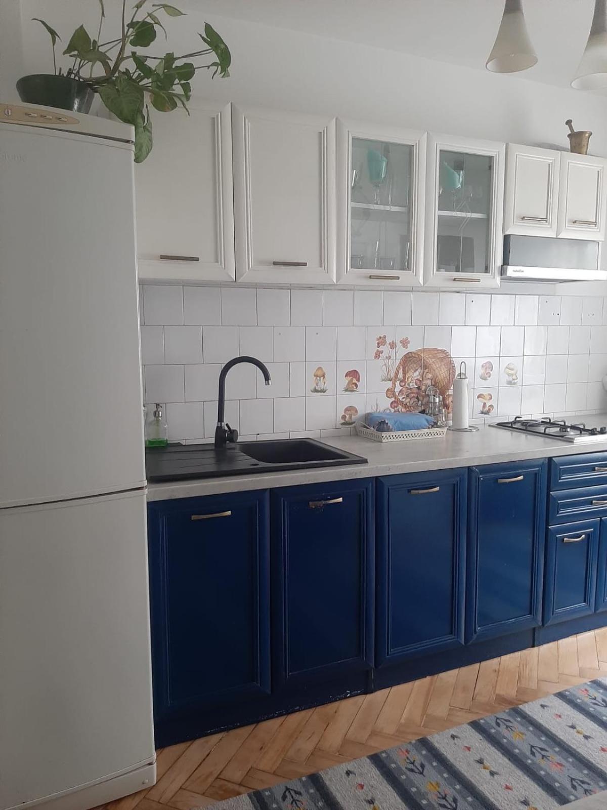 Mari&Vio Apartment Κλουζ-Ναπόκα Εξωτερικό φωτογραφία