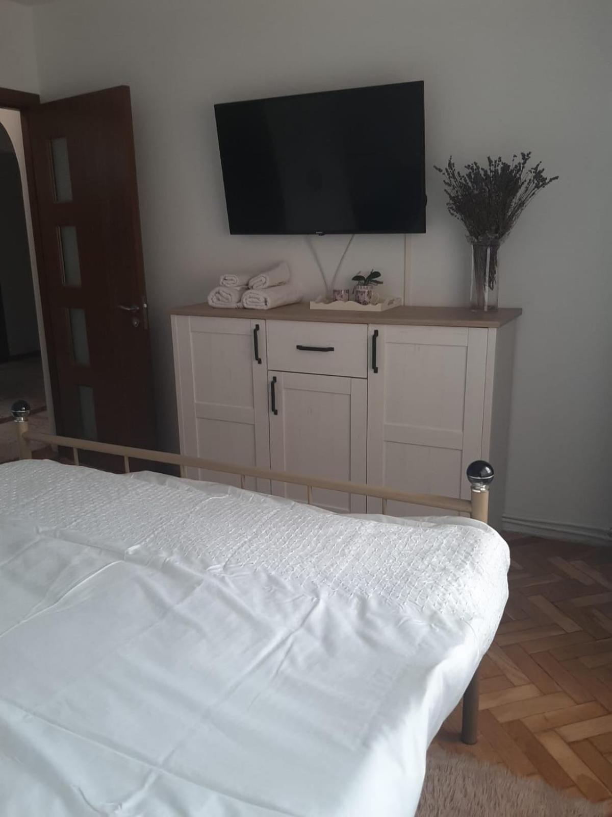 Mari&Vio Apartment Κλουζ-Ναπόκα Εξωτερικό φωτογραφία