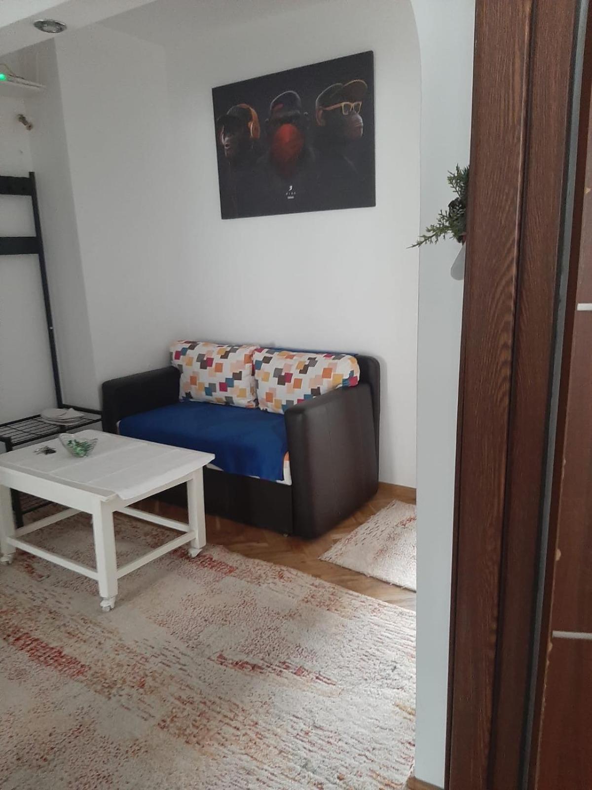 Mari&Vio Apartment Κλουζ-Ναπόκα Εξωτερικό φωτογραφία