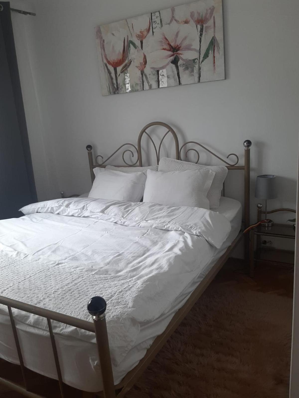Mari&Vio Apartment Κλουζ-Ναπόκα Εξωτερικό φωτογραφία