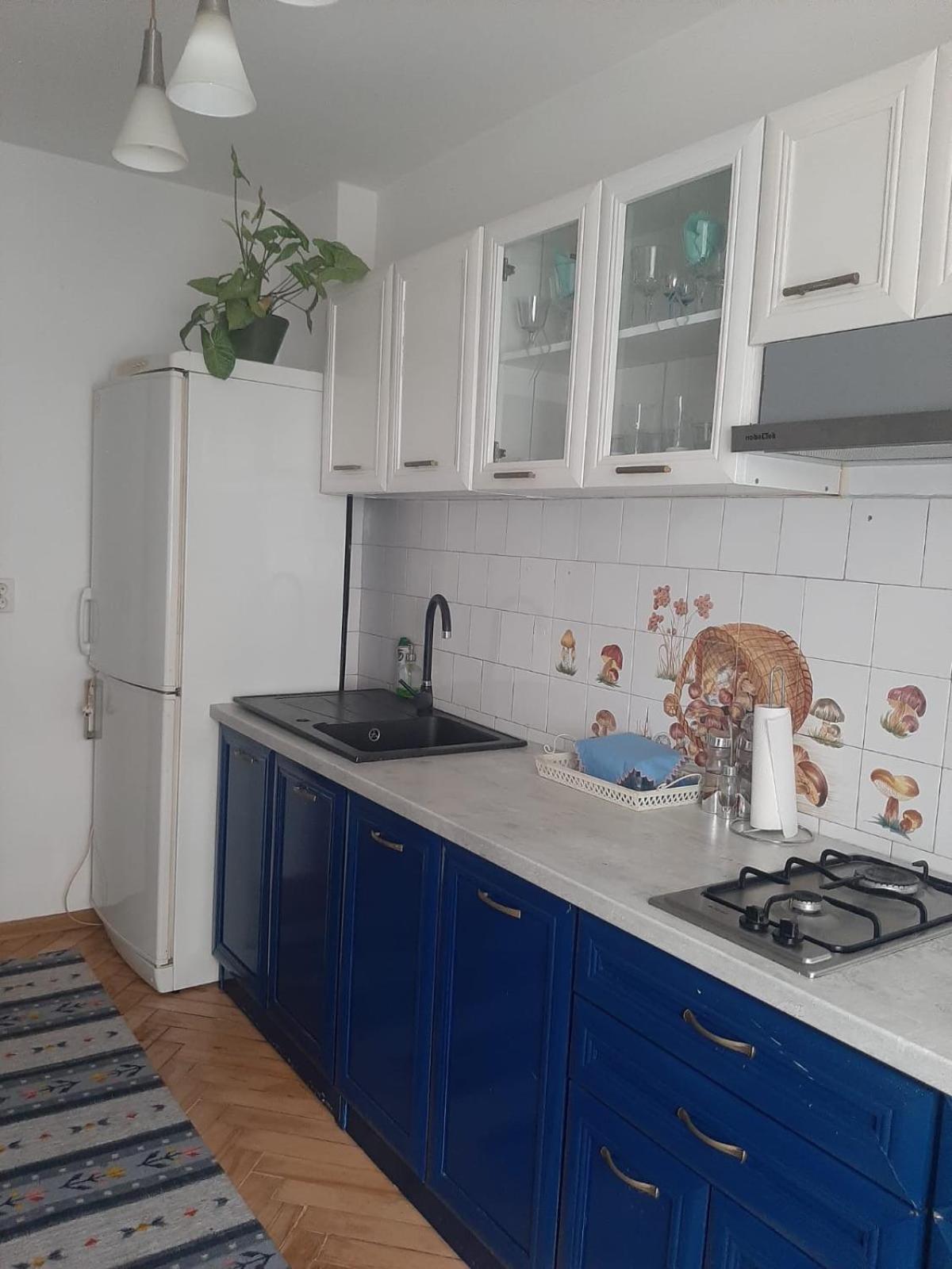 Mari&Vio Apartment Κλουζ-Ναπόκα Εξωτερικό φωτογραφία